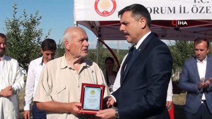 - Çorum’da “bal hasadı” başladı