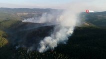 - Bursa Valisi Canbolat'tan orman yangını açıklaması: 