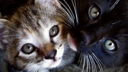 동구출장안마 -후불100%ョOiON6622N4421｛카톡XN94｝ 동구전지역출장안마 동구오피걸 동구출장마사지 동구안마 동구출장마사지 동구콜걸샵≑≉◍