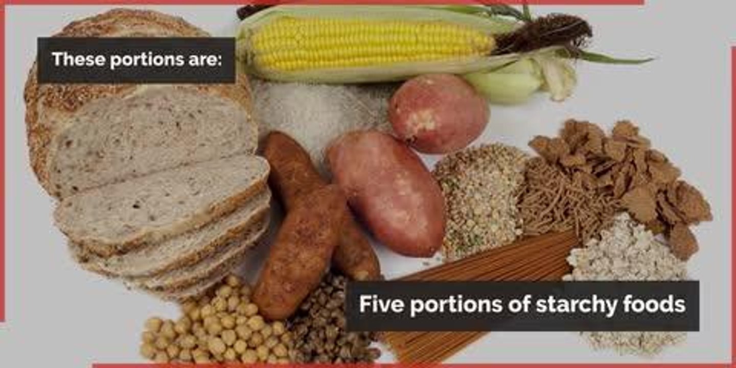 This is exactly what your child should be eating - according to nutritionists
