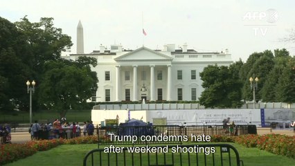 Trump calls for 'red flag' gun laws, 'quick' executions for mass killers