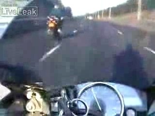 Cute caméra embarquée