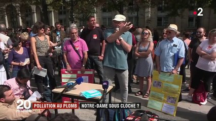 Notre-Dame : quelles solutions face à la pollution au plomb ?