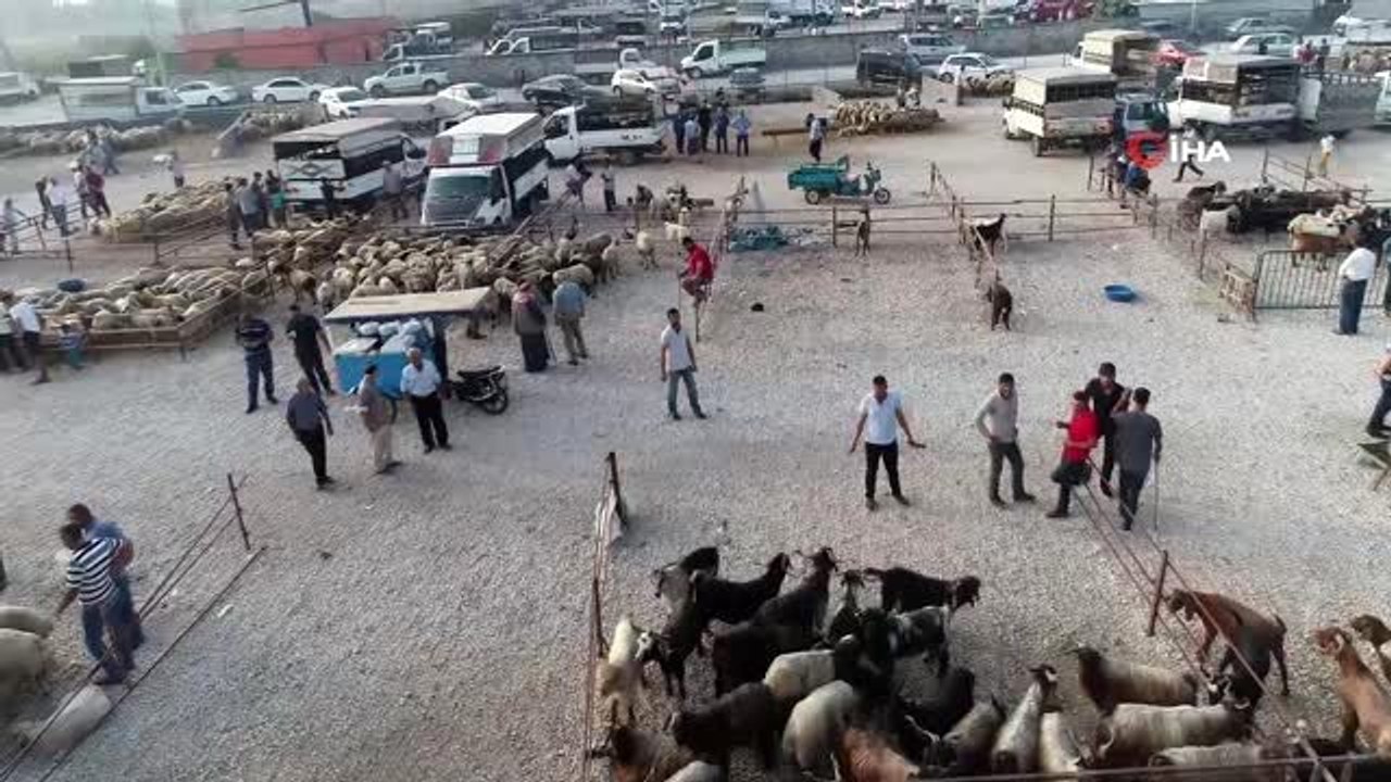Kurban pazarlarında yoğunluk var, alıcı yok... Kurban pazarı havadan görüntülendi