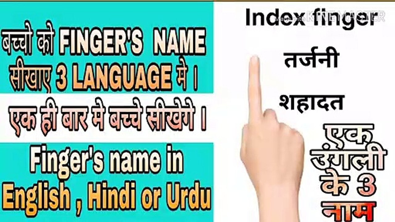Fingers name in 3 language are hindi English and urdu  .