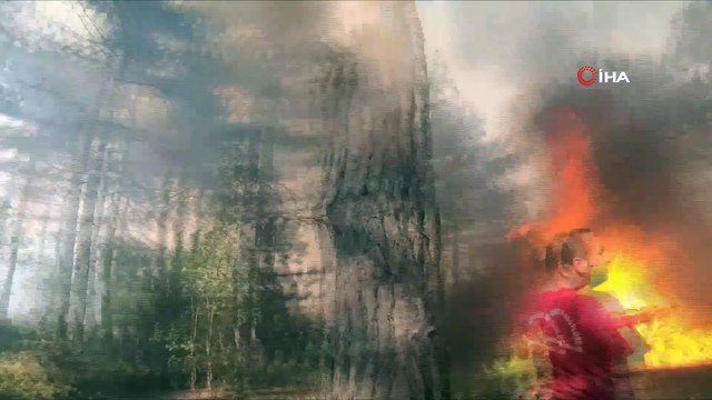 Bursa'daki orman yangınının dehşete düşüren görüntüleri kameraya yansıdı