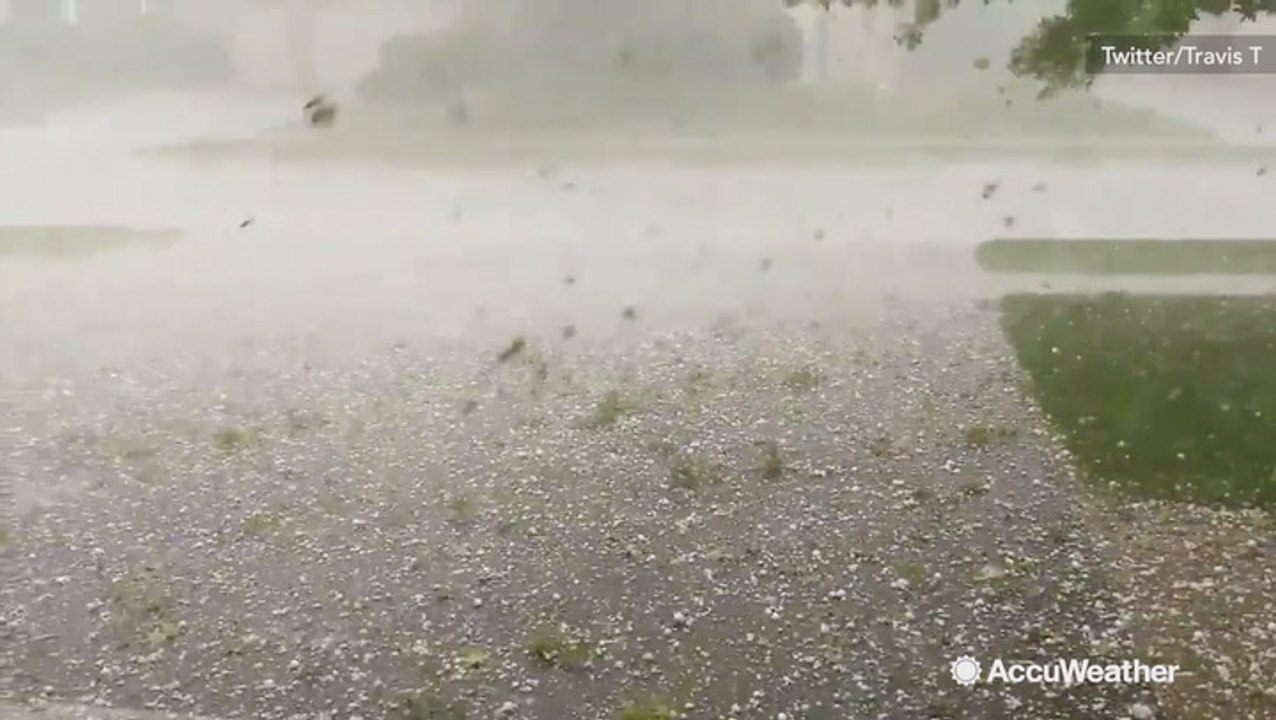 Hail batters and litters ground during severe storm