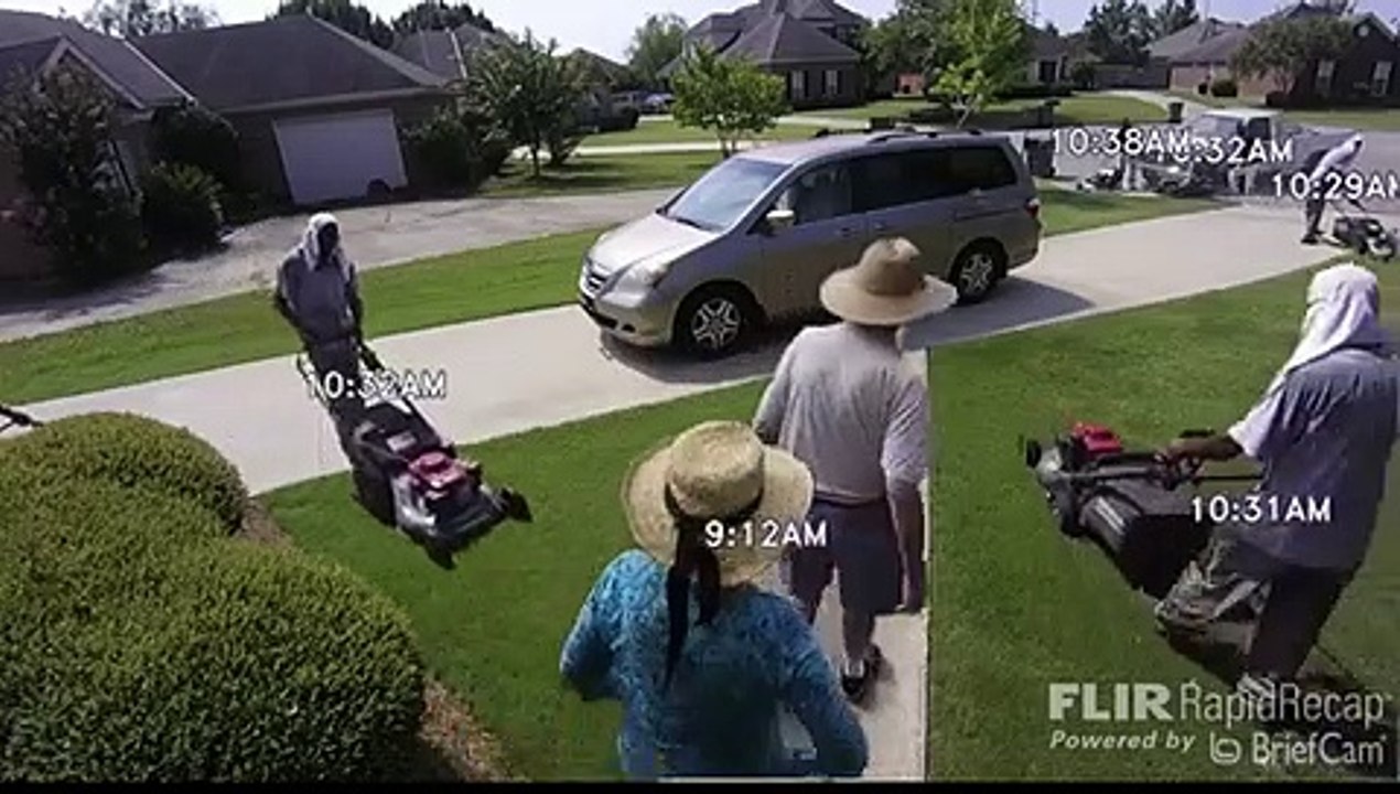 A Busy Day in the Yard