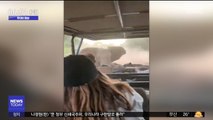 [투데이 영상] 성난 코끼리의 공격…멈추면 '황천길'
