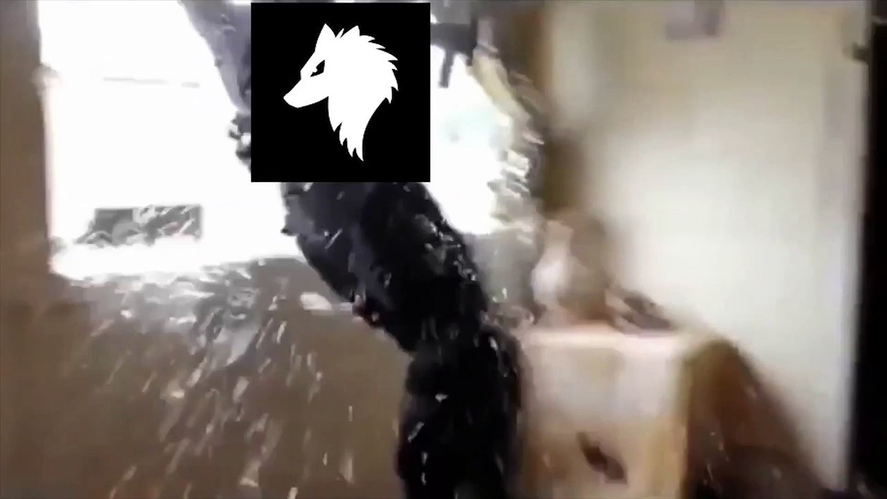 FBI swat raid meme con SalvatoreYT