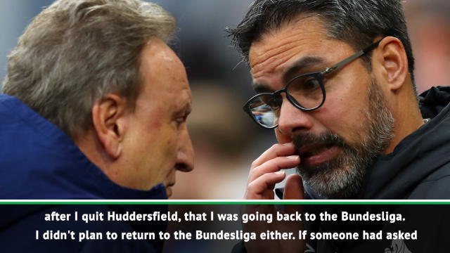 I didn't expect to go back to Germany - new Schalke coach Wagner