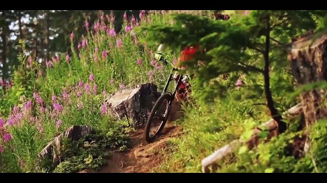 Downhill 2019 - Los mejores vídeos del año, las mejores caídas, trucos, pistas - GLOBAL MEDIA