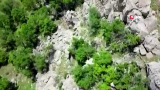 Hakkari'de, Jandarma, Emniyet ve MİT'in ortak operasyonuyla Gri listede yer alan 'Harun' kod adlı...