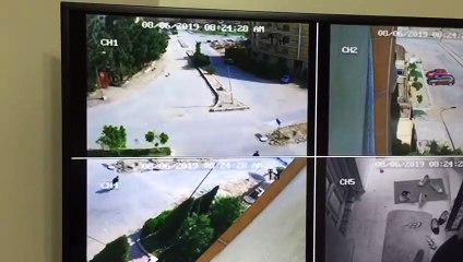 هجوم قطيع كلاب شرسة على أطفال بمدينة العبور