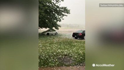 A moment of silence for all the cars parked outside