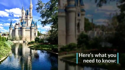 Strollers at Disney World: What’s Allowed & What’s Not