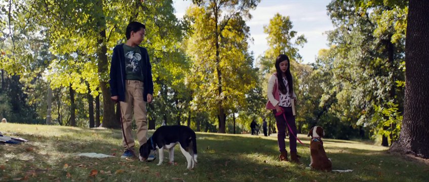 Mes Autres Vies de Chien Film