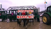 경마베팅 MA892NET 서울경마예상 경마예상사이트 온라인경마사이트