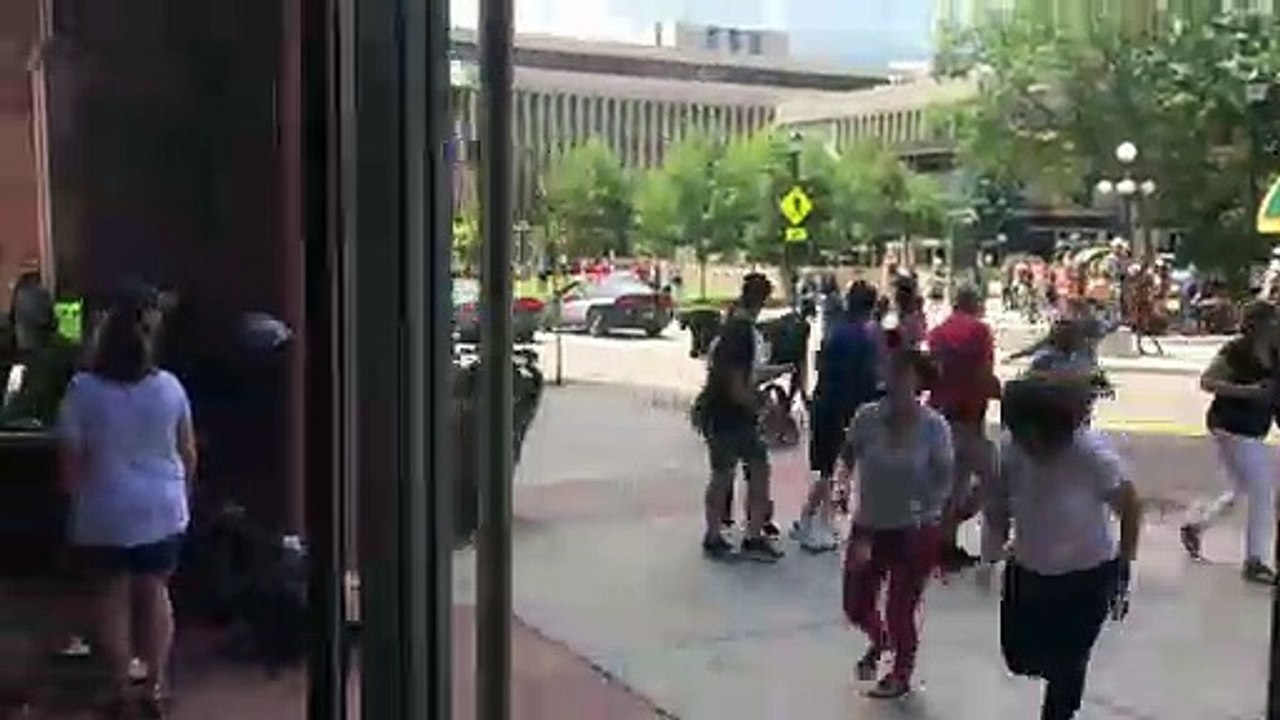 Cow Causing Chaos in Colorado