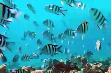 선릉지중해가라오케 ↖김사랑Ø1Øn2393v1922 대치 대치동 잔디처럼돋아나는 원하는결과를