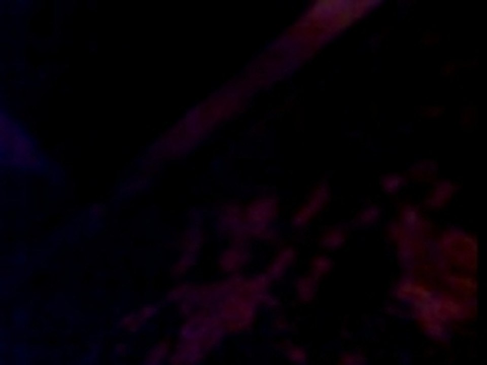 Essais kit polini préparer