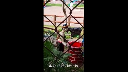 อันดับ 1 คลิป ฮาหลุดๆ แบบไทยๆ แจ๋มเลย งานนี้