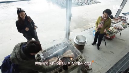 전라남도 청산도의 거대한 생선, 삼치