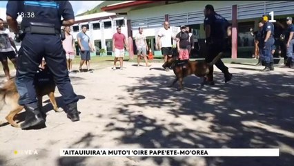 TH : Partage d’expérience entre policiers de Papeete et de Moorea