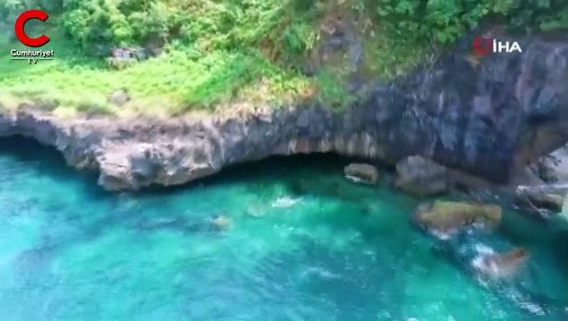 Görenleri kendisine hayran bırakıyor