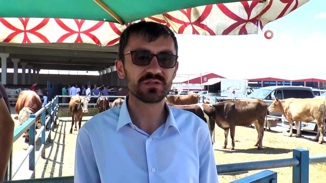 Kurban satıcılarının umudu arefe günü