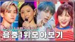음악중심 1위 무대 모아보기 #2019_상반기_요약 | Show! Music Core No.1 Stage Compilation