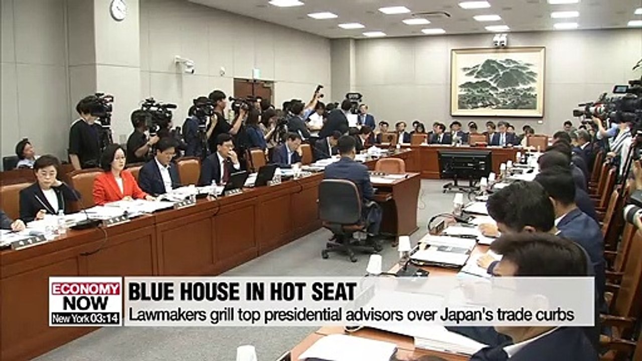 Lawmakers grill top presidential advisors over Japan's trade curbs, other issues