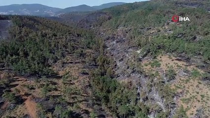 Küle dönen bölgeler havadan görüntülendi