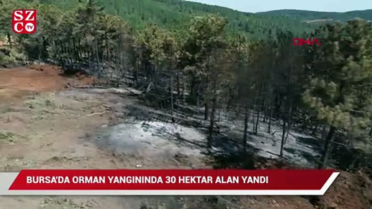 Bursa'da 'sabotaj' şüpheli yangında 30 hektarlık alan zarar gördü