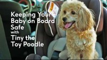 Here's how to properly set up a child safety seat in your car