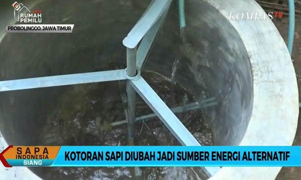 Kotoran Sapi Diubah jadi Sumber Energi Alternatif