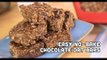 Easy No-bake Chocolate Oatmeal Bar Recipe