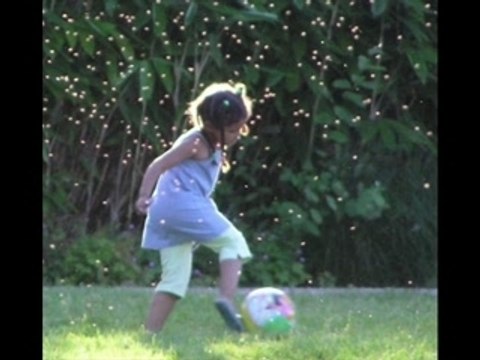 Gérald De palmas, Dans la cour