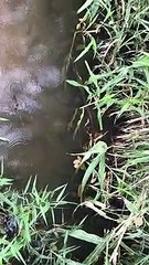 A trip to a village without clean water