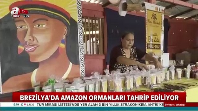Yandaş A Haber: Amazon Ormanları tahrip ediliyor