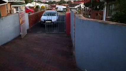 Snake Slithers into Dog Kennel