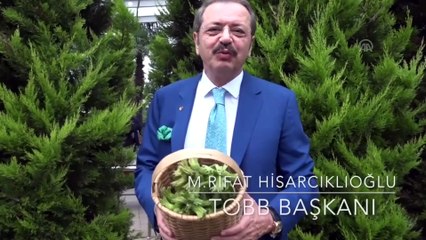 Ünlüler, fındık hasadı için kamera karşısında - TRABZON