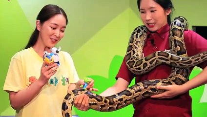 용인출장안마 -후불100%ョOiOE2997E5327｛카톡QR091｝ 용인전지역출장안마 용인오피걸 용인출장마사지 용인출장안마 용인출장마사지 용인출장콜걸샵안마 용인출장아로마 ◛ぁ≇