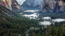 Hiker Dies in Off-Trail Fall at Yosemite, Two Others Injured in Separate Incidents at Park