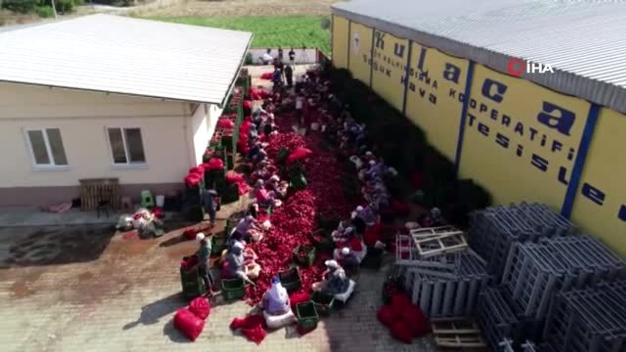 Salça diyarı Kulaca'dan biber salçası ihracatı