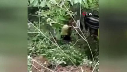 Turistleri taşıyan minibüs şarampole yuvarlandı: 1 ölü, 11 yaralı