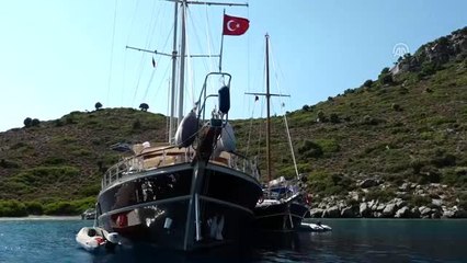 Adaya terk edildiği öne sürülen eşeği aradılar