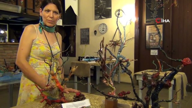 Kurumuş ağaç köklerini fidana dönüştürüyorlar