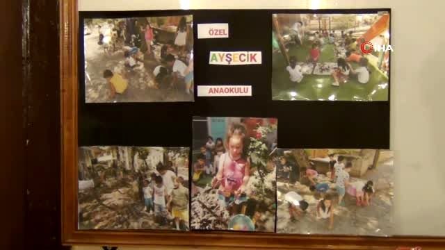 Kurumuş ağaç köklerini fidana dönüştürüyorlar