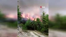 Sinop'ta orman yangını devam ediyor